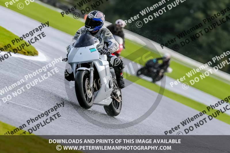 PJ Motorsport Photography 2020;anglesey;brands hatch;cadwell park;croft;donington park;enduro digital images;event digital images;eventdigitalimages;mallory;no limits;oulton park;peter wileman photography;racing digital images;silverstone;snetterton;trackday digital images;trackday photos;vmcc banbury run;welsh 2 day enduro